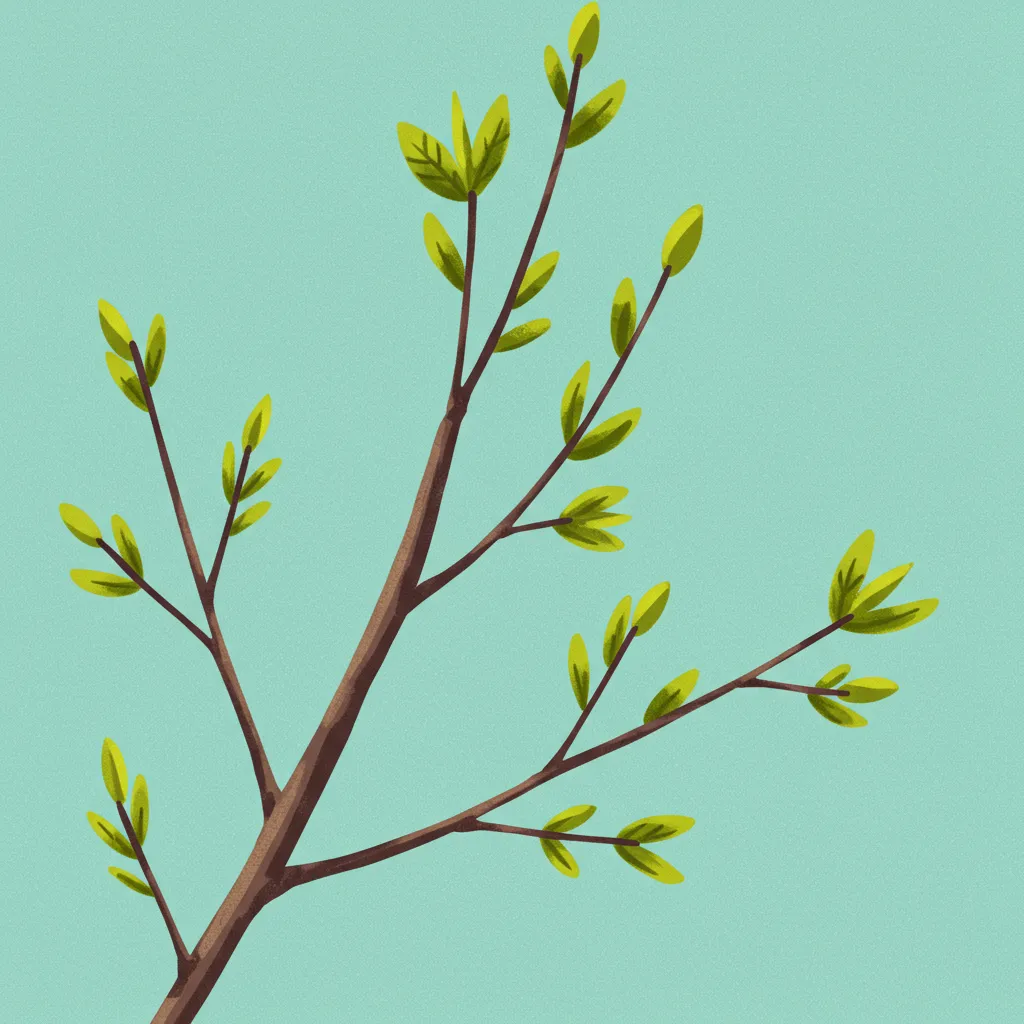 Illustration of spring